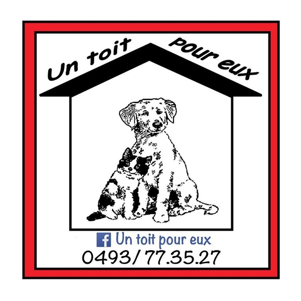 un toit pour eux.jpg